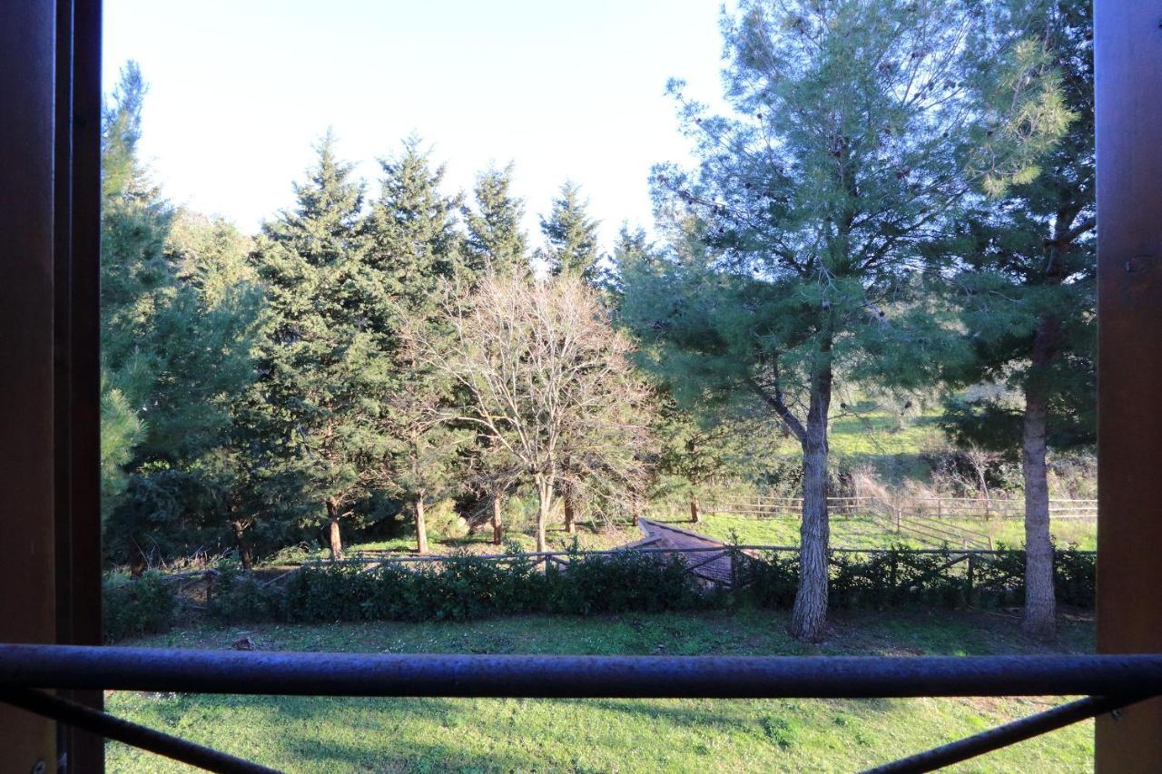 Agriturismo Pimpinnacolo Порто-Ерколе Екстер'єр фото